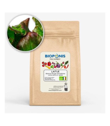 Batavia Rouge Grenobloise