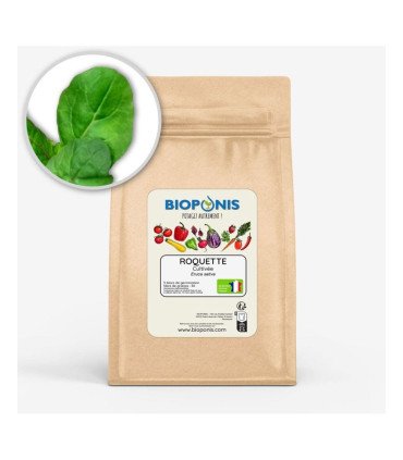 Roquette Cultivée