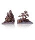 AQUANATUR LANDSCAPE BONSAI L