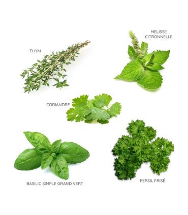 Assortiment 5 variétés incontournables