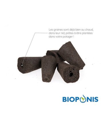 Assortiment 5 variétés incontournables