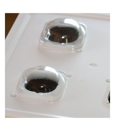 Capsules de germination x20