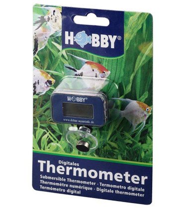 HOBBY Thermomètre numérique s.s.