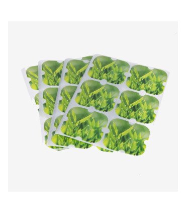 Sticker anti-algues x24