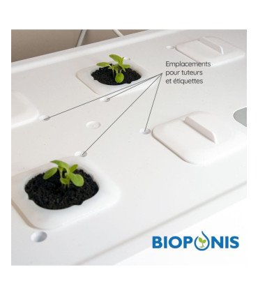 Etiquettes "variété" x10