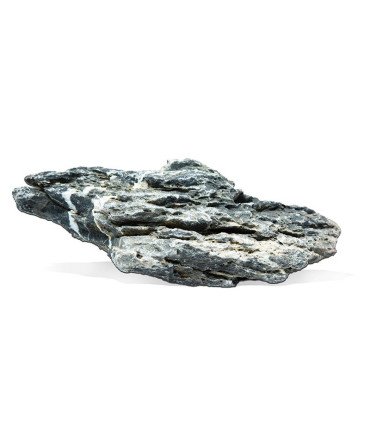 PIERRE ZEBREE MOUNTAIN M (LEOPARD)
