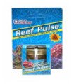 Reef Pulse