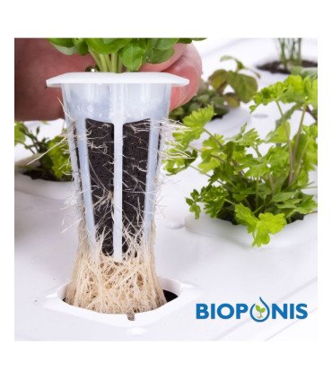 Blocs de germination pour Mini-potagers