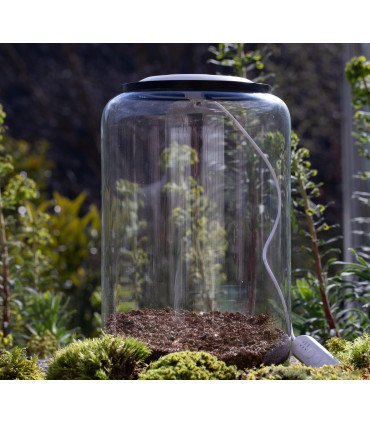 Kit Mini-Terrarium + LEDs "Tropical" Cylindre S