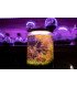 Kit Mini-Aquarium + LEDs "Coudoulous"